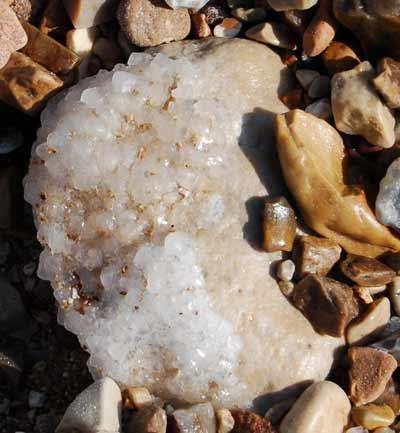 Salt forming on the dead sea shore